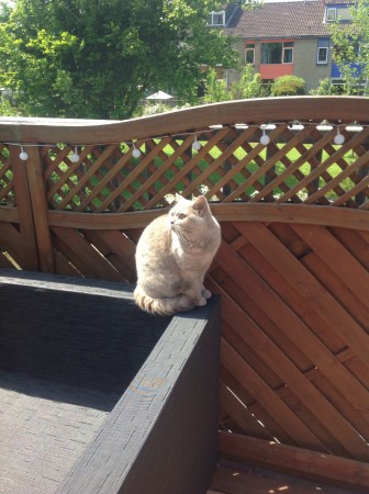 Dit is E-lief. Zij zit met mooi weer graag in het zonnetje.